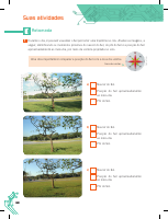unidade8.pdf